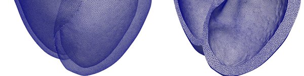 A 3D mesh representing the chambers of the heart